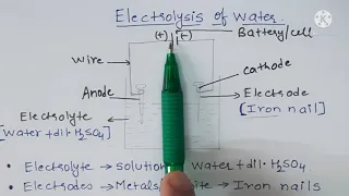 Class 8- Ch 15- Electrolysis of water- Living Science