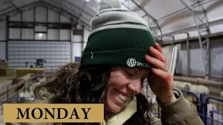 7 Days of Lambing (MONDAY): Vlog 128