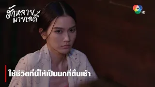 ใช้ชีวิตที่นี่ให้เป็นนกที่ตื่นเช้า | ตอกย้ำความสนุก ฮักหลายมายเลดี้ EP.3