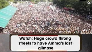 Watch: Huge crowd throng streets to have Amma's last glimpse - ANI News