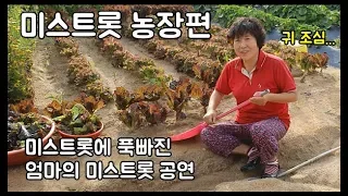 미스트롯 농장편 - 주말농장 [일꾼TV]