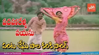 Padaharella Vayasu Movie Songs | Panta Chelo Video Song | Sridevi | Chandra Mohan | YOYO TV Music