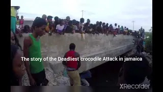 Jamaican crocodiles