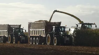 Ohne Fleiß kein Mais! Maisernte mit John Deere Feldhäcksler auf XXL Feld einer Farm