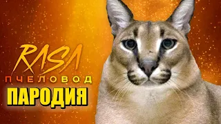 Песня Клип БОЛЬШОЙ ШЛЁПА Rasa - Пчеловод ПАРОДИЯ / BIG FLOPPA