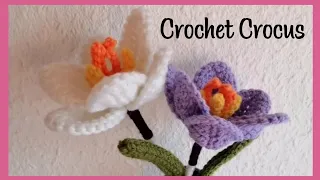 Crochet Crocus Blossoms