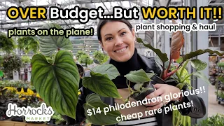 OVER Budget...But WORTH It! Plant Shopping & Plant Haul Horrock's Nursery - Plants On The Plane!