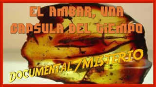 El ámbar, una cápsula del tiempo en documental 2017