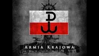 Armia Krajowa - polityczne aspekty powstania i działania