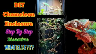 Chameleon Enclosure |How To Build A Hybrid Reptile Cage PVC or Wood DIY| Bioactive Vivarium.