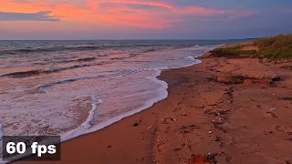 Pink Glow After Sunset on the Beach with Ocean Waves | Relaxing ASMR for Deep Sleep | 3H 4K 60fps