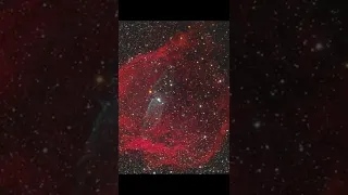 The Flying Bat Nebula || A Mysterious Space Object In Universe || #shorts