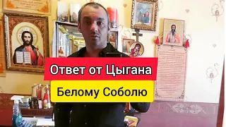 ЦЫГАН ДАЕТ ОТВЕТ НАЦИСТАМ