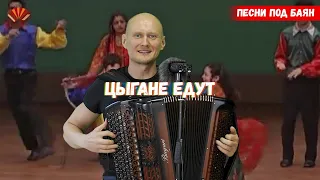 Цыгане едут! Gypsy song. Баянист Евгений Попов. Песни под баян.