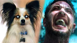 Venom possesses a PUPPY | Venom | CLIP 🔥 4K