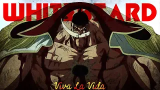 Whitebeard Edit - Viva La Vida