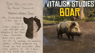 Vitalism Studies Pamphlet: Boar Location - Boar Vitalism Gameplay (RDR2)