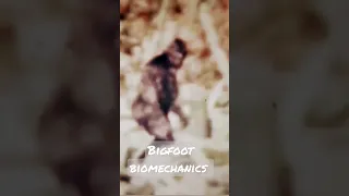 1967 BIGFOOT Patterson Gimlin footage of 'Patty'