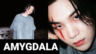 AMYGDALA lyrics (Han/Rom/ENG) | Agust D 💜 #btssuga #amygdala #agustd