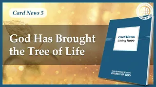 Card News: God Has Brought the Tree of Life | World Mission Society Church of God