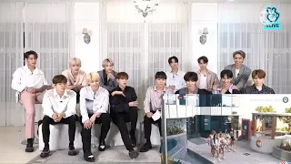 SEVENTEEN REACTION NOW UNITED SHOW YOU  HOW TO LOVE