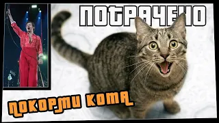 Потрачено. Покорми Кота. Лучшие приколы 2021, смешные видео и фейлы