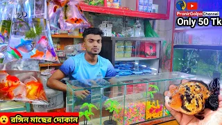 Aquarium Price In Bangladesh 🐠Aquarium Fish Price In Khulna 😱Aquarium Fish Wholesale Price In BD