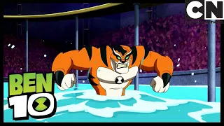 Ben 10 Po Polsku | Jeden gniewny kociak | Cartoon Network