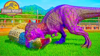 1 HOUR DINOSAURS FIGTING ARENA T Rex vs Spinosaurus, Indominus Rex, Giganotosaurus - Jurassic World