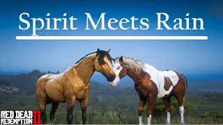 SPIRIT MEETS RAIN || Stallion of the Cimarron - Red Dead Redemption 2 Movie | Pinehaven