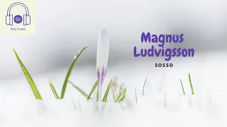 Magnus Ludvigsson - Sosso | YouTune