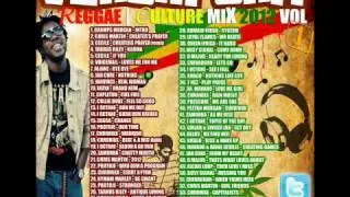 Venom Unit Reggae Culture Mix 2012 Vol 1 Preview