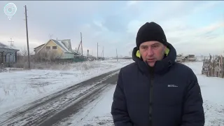Вспышку бешенства выявили в Новосибирской области