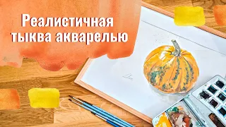 Как нарисовать реалистичную тыкву акварелью. Фактура тыквы с помощью линий и пятен