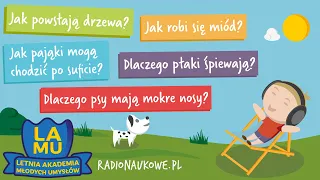 Jak pająki chodzą po suficie? Czemu psy mają mokre nosy? Dlaczego ptaki śpiewają? #07 LAMU'22