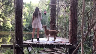 Summer Days in the Rainforest: Building a Bamboo Treehouse!