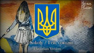 Polish-Ukrainian Folk Song - Hej Sokoły / Гей, соколи (Ukrainian Version)