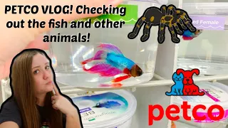 PETCO VLOG! | Taking a look at the Betta Fish and other Animals such as Tarantulas! | ItsAnnaLouise