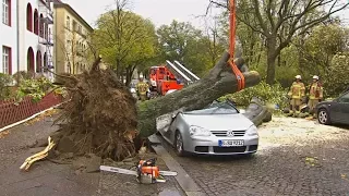 Ураган «Герварт» пронёсся по Германии (новости)