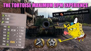 THE TORTOISE MAX-POSSIBLE-DPM EXPERIENCE