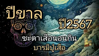 ดูดวงปีขาล ชะตาเสือนอนกิน บารมีปู่เสือ ปี2567