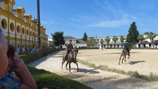 Jerez de la Frontera, Spain - Andalusian Horse show, museum, beautiful grounds