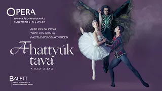 van Dantzig–van Schayk / Csajkovszkij: A hattyúk tava / Swan Lake (trailer) 2015