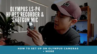 OLYMPUS LS-P4 | HI Res Audio Recorder & Shotgun Mic SETUP on Olympus Cameras