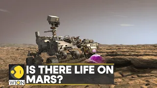 NASA's Mars Perseverance rover finds samples of Microbial life on mars | Latest English News | WION