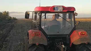 Посевная 2020! Технология No-till!