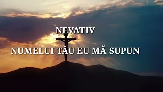 negativ NUMELUI TA EU MA SUPUN. (FRATI DIN BARBULESTI)