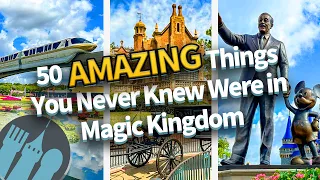 50 AMAZING Things You Never Knew Were in Magic Kingdom