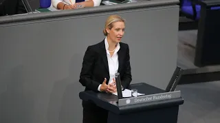 Alice Weidel & Alexander Gauland - 130. Sitzung des Bundestages - AfD-Fraktion im Bundestag