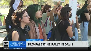 Pro-Palestine rally held in Davis